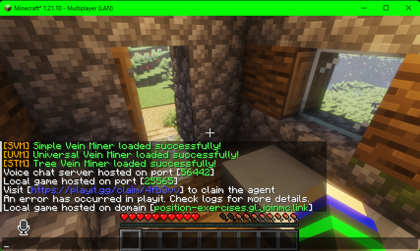 Accepted Playit Companion