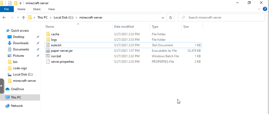 new files generated by papermc
